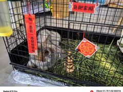 -萤火虫咖啡(后海店)