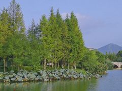 -三垟湿地