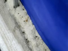 -乔波室内滑雪场