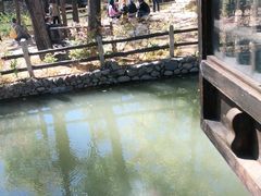 -卧龙堡客栈·中餐厅(古北水镇店)