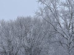 -密苑云顶乐园(云顶滑雪场)