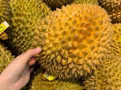 -北京华联生活超市(兰州红星店)