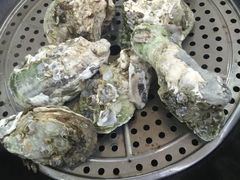 -蚝专家(北滘店)
