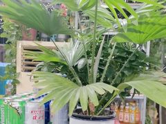 -永安里地摊烤肉(首创店)