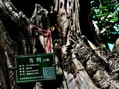 -白草畔自然风景区