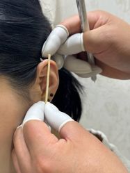 -花师傅