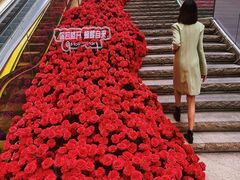 -万科生活广场(东莞松山湖店)