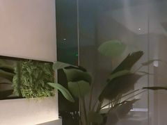 -新紫霞养生·影院足道·SPA(金山区店)