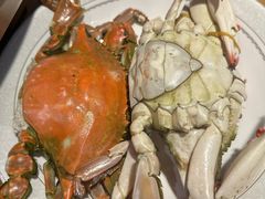 -倍儿美海鲜排挡·非遗海鲜蒸饺(洋货店)