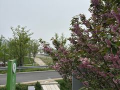 -南北湖风景区