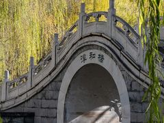 -洛阳市隋唐城遗址植物园