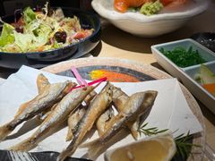 -乌君·酒场·炭火烧鸟(侨城坊店)