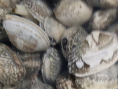 -宾朋海鲜美食特色餐厅·纯手工鲅鱼水饺(兴海路店)