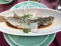 -十八棵（老龙井）御茶园(老龙井店)