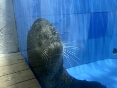 -左海海底世界