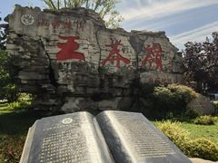 -王莽岭风景区