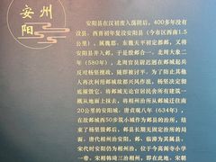 -安阳博物馆