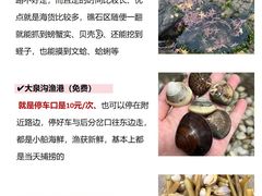 -巧克力渔家.小船海鲜胶东菜(万平口店)