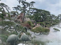 -罗红摄影艺术馆