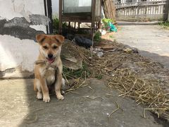 -竹园小居(石塘竹海店)
