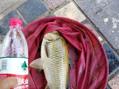 -酷鱼垂钓CLUB(朝阳区博大路店 )