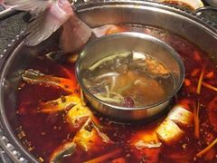 -蜀滋香鲜鱼美蛙火锅(339店)