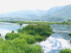-腾冲北海湿地