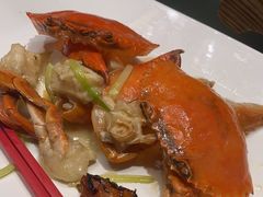 -沪碟·精菜坊(闵行店)