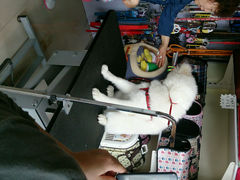 android_upload_pic-久久宠物(河东万达店)