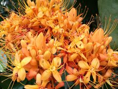 -华南国家植物园-售票处