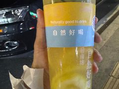 海盐话梅青桔柠檬-桐园果汇(湖贝店)