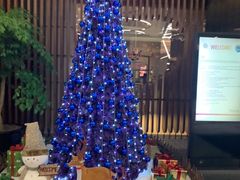 -南京禄口机场雅高铂尔曼大酒店