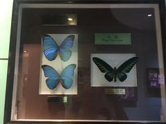 -上海昆虫博物馆