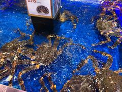 店内环境-盒马X会员店(王府井奥莱UP TOWN店)