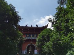 -铁山坪森林公园