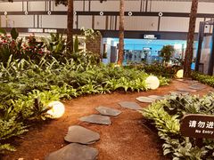 -青岛胶东国际机场