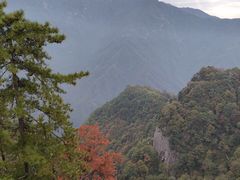 -陕西省红河谷森林公园