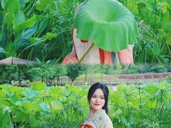 -沐仙湖湿地公园