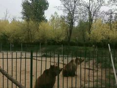 -秦皇岛野生动物园