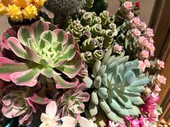 -叶叶菩提·晋福宫