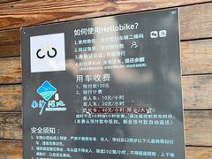 -大湾区中央湿地公园