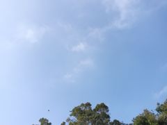 -南丫岛