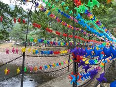 -水墨汀溪风景区