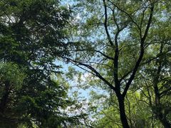 -吉林市朱雀山国家森林公园