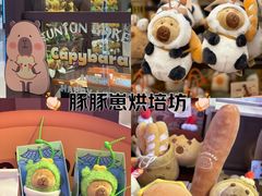-首开·龙湖成都西宸天街