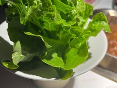 花边生菜-九鼎轩脆毛肚火锅(南京东路店)