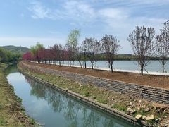 -羊山湖公园