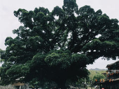 -云水谣景区