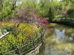 -南汇桃花村