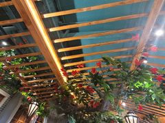 -老广酒楼(樱花店)